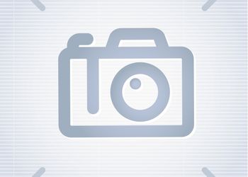 Покраска дерева
